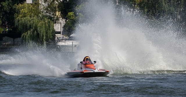 保护球员的 保护球员的