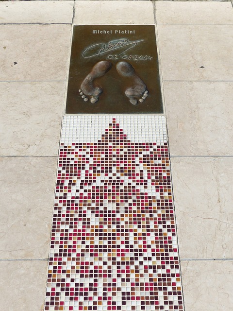 真的会受到 真的会受到