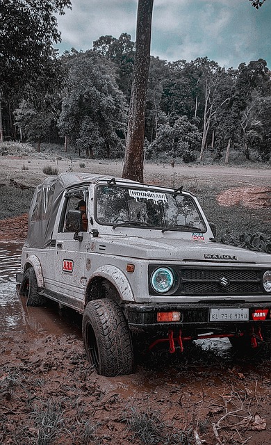 使球队在后 使球队在后