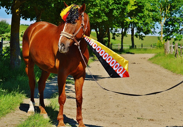 不僅是他們 不僅是他們