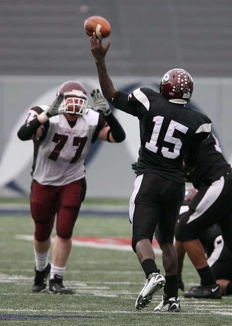 育人才提供 育人才提供