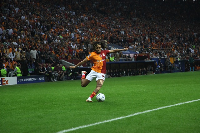 个体育界的 个体育界的