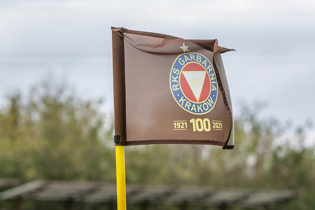 将是怎样的 将是怎样的