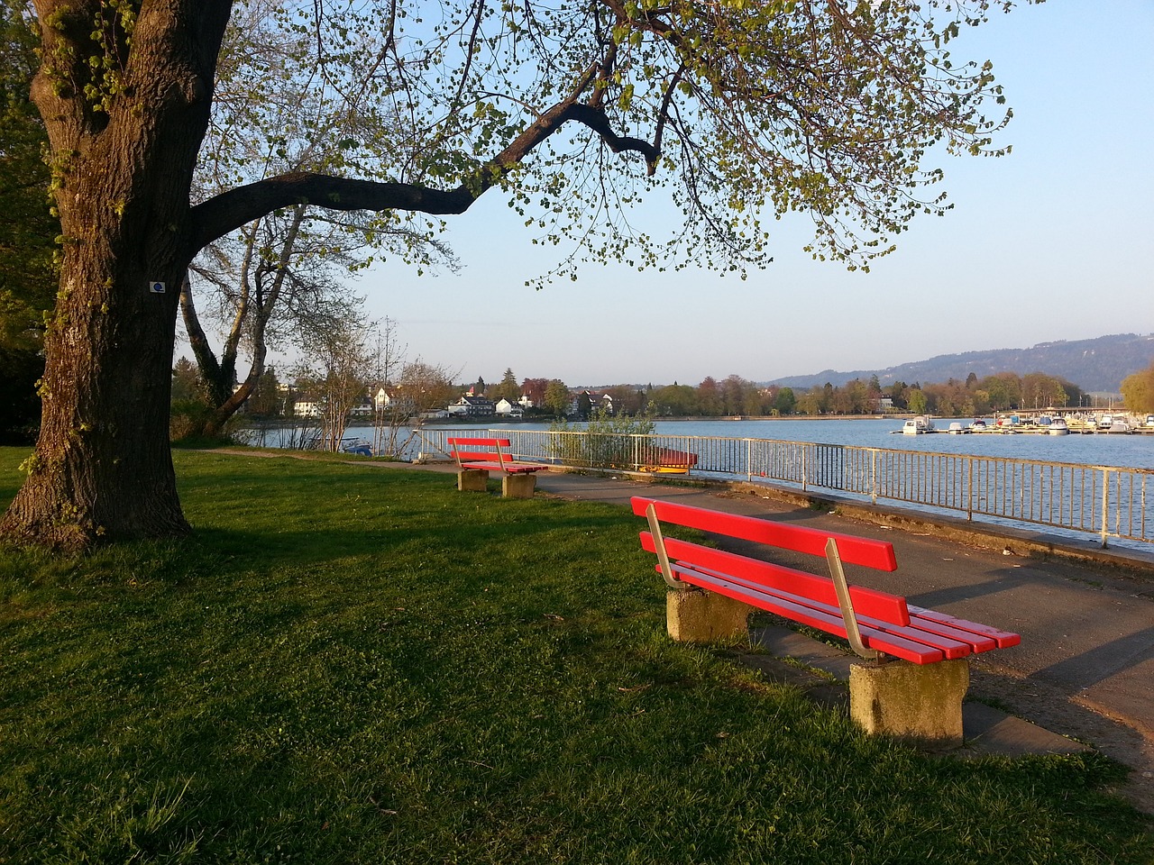 总结关键词 总结关键词