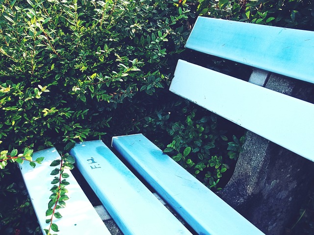 虽然备受期 虽然备受期