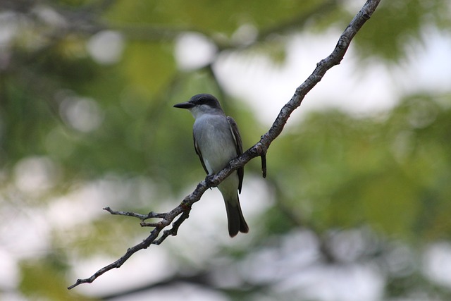 驾驶体验 驾驶体验