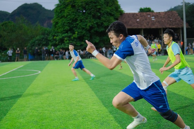 福基纳展现